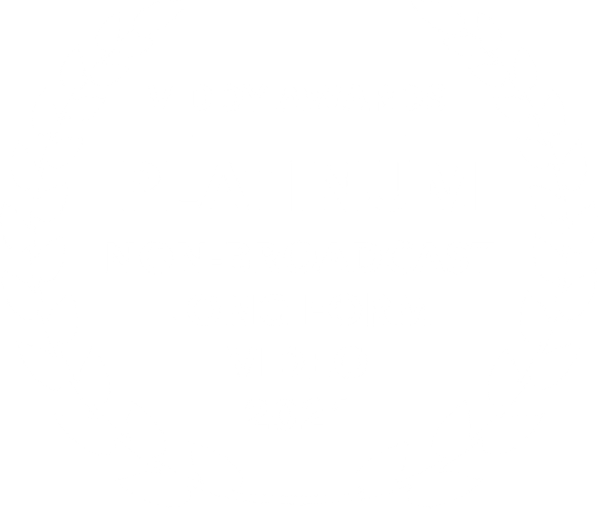 Viddy Awards Platinum